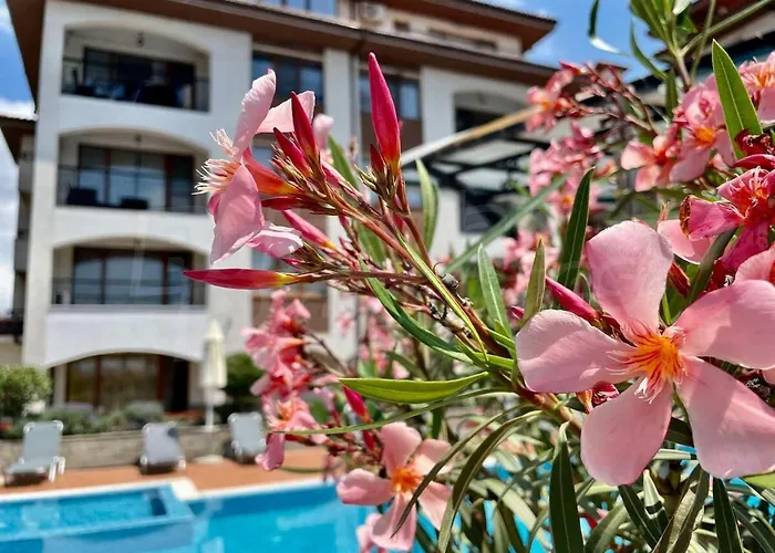 Violeta - With Sea View In 1st Line Sarafowo Apartment