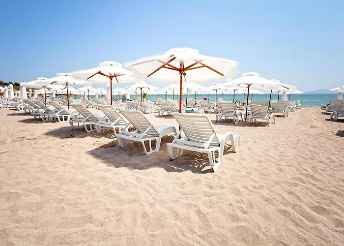 Violeta - With Sea View In 1st Line Sarafowo Apartment *